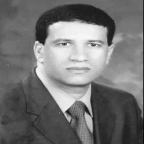Abou El-Ela Bedeir Mohamed Shams El-Din